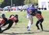 _MG_4565.jpg
